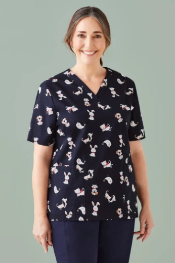 Picture of Biz Care, Best Friends Womens Scrub Top